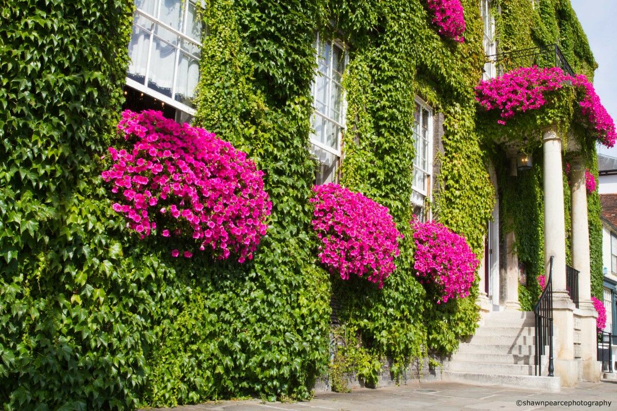 Angel Hotel Bury St. Edmunds ภายนอก รูปภาพ